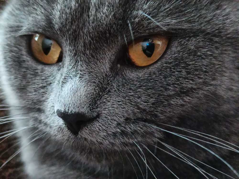 Photograph by Лариса Королева