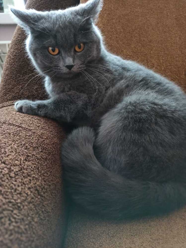 Photograph by Лариса Королева