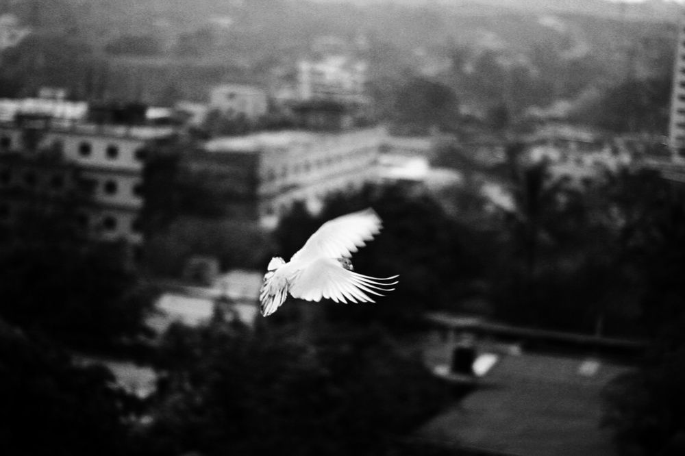 Photograph by Hasan Redoan Rakib