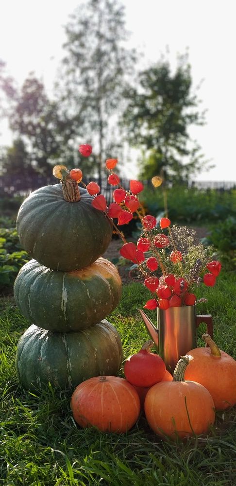 Photograph by Inna Kabanovich