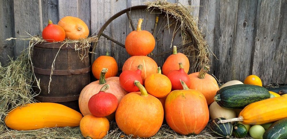 Photograph by Inna Kabanovich