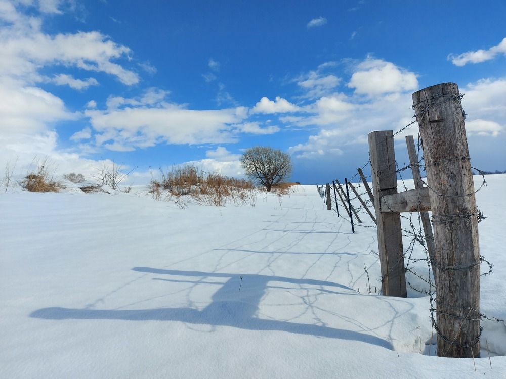 Photograph by Валерий Савостьянов