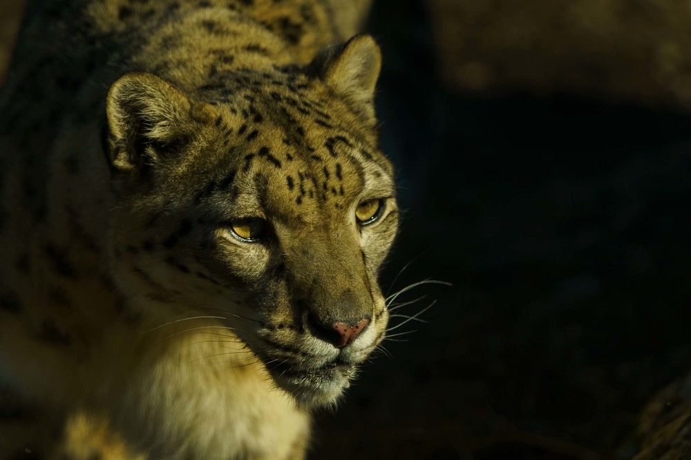 Photograph by Susanna Kari