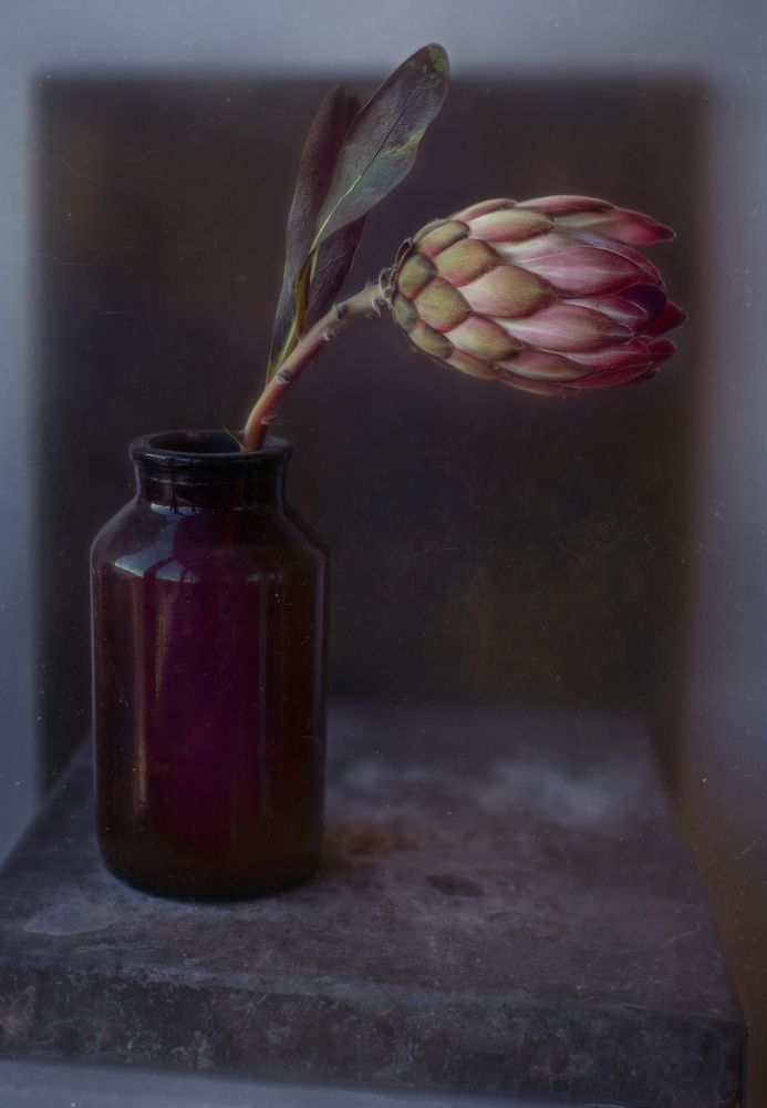 Photograph by Svoboda Andreeva