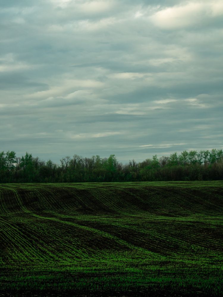 Photograph by Даниил Мусатов