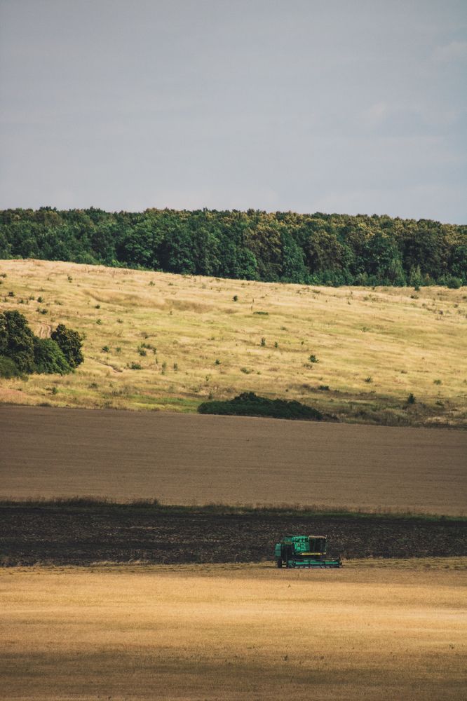 Photograph by Даниил Мусатов