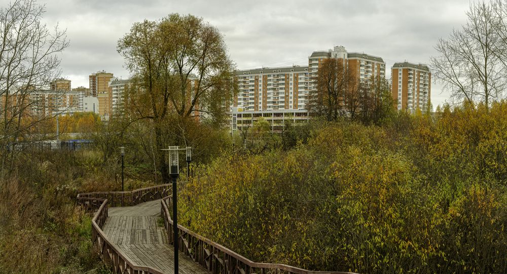 Парк и город