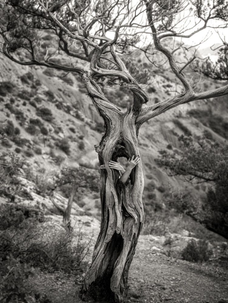 Photograph by Игорь Прошаков