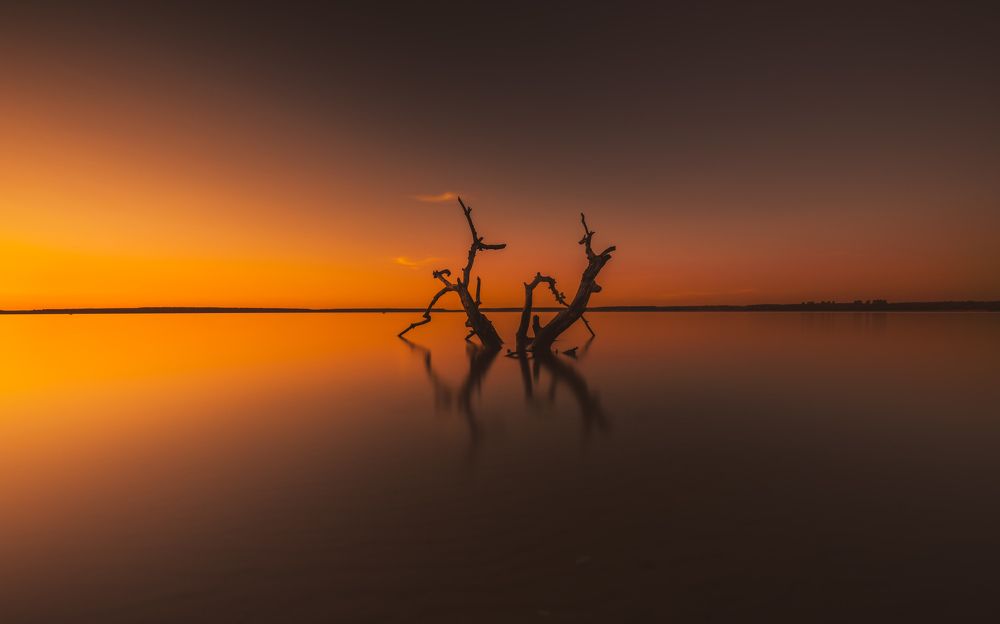 The Core Of Beauty Is Simplicity