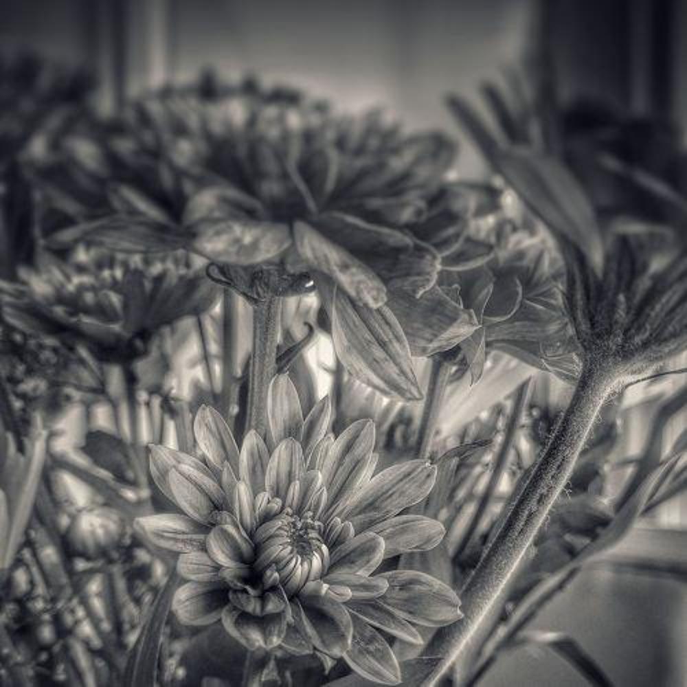 Photograph by Yassin Yassin