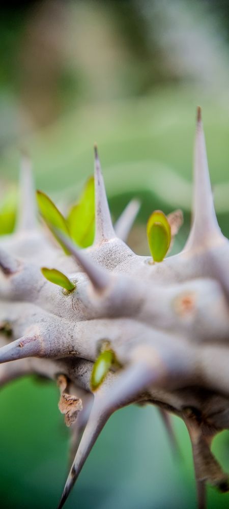 Фотография автора Юлия Вычужанина