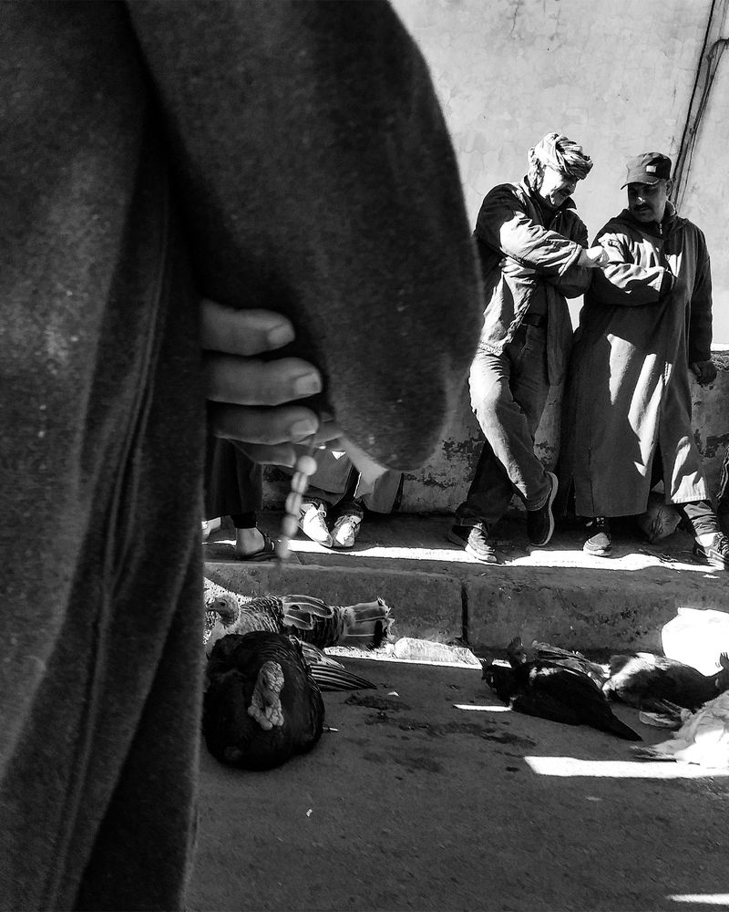 Photograph by manseur said