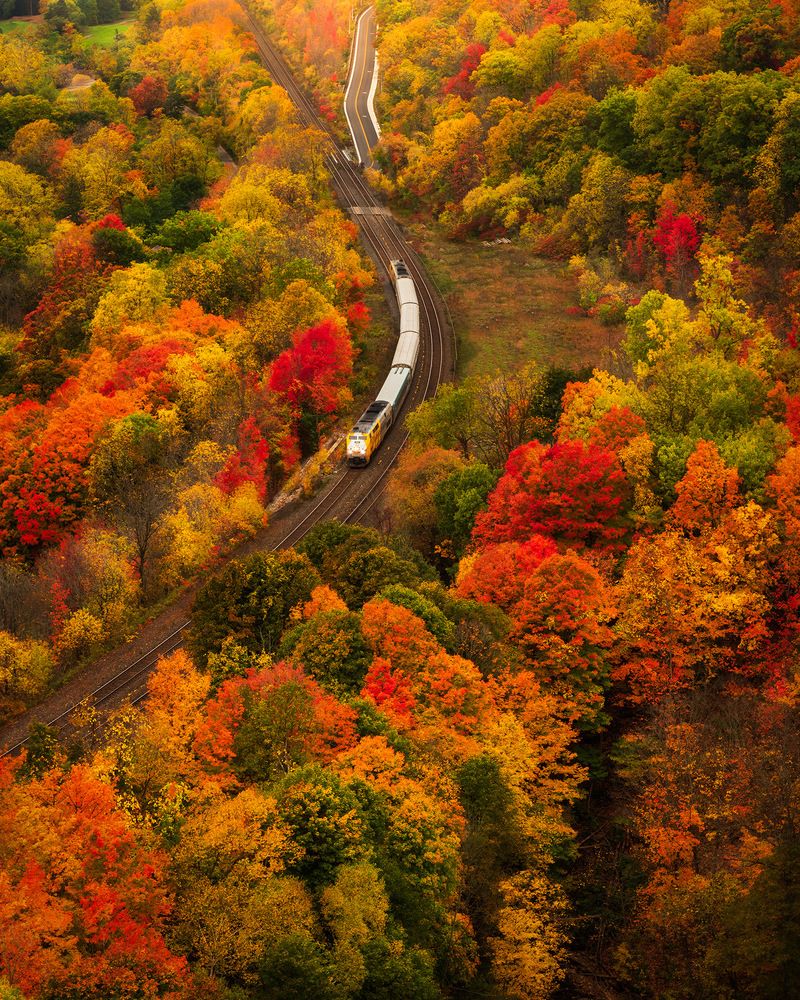 Photograph by Sayantan Basu