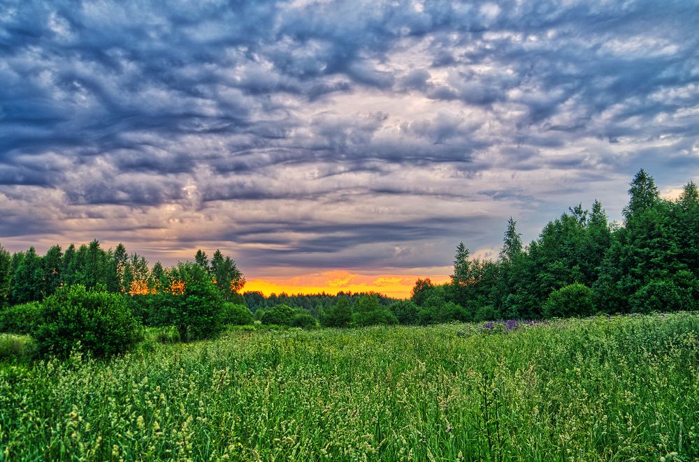 Photograph by Дмитрий Крестоварт