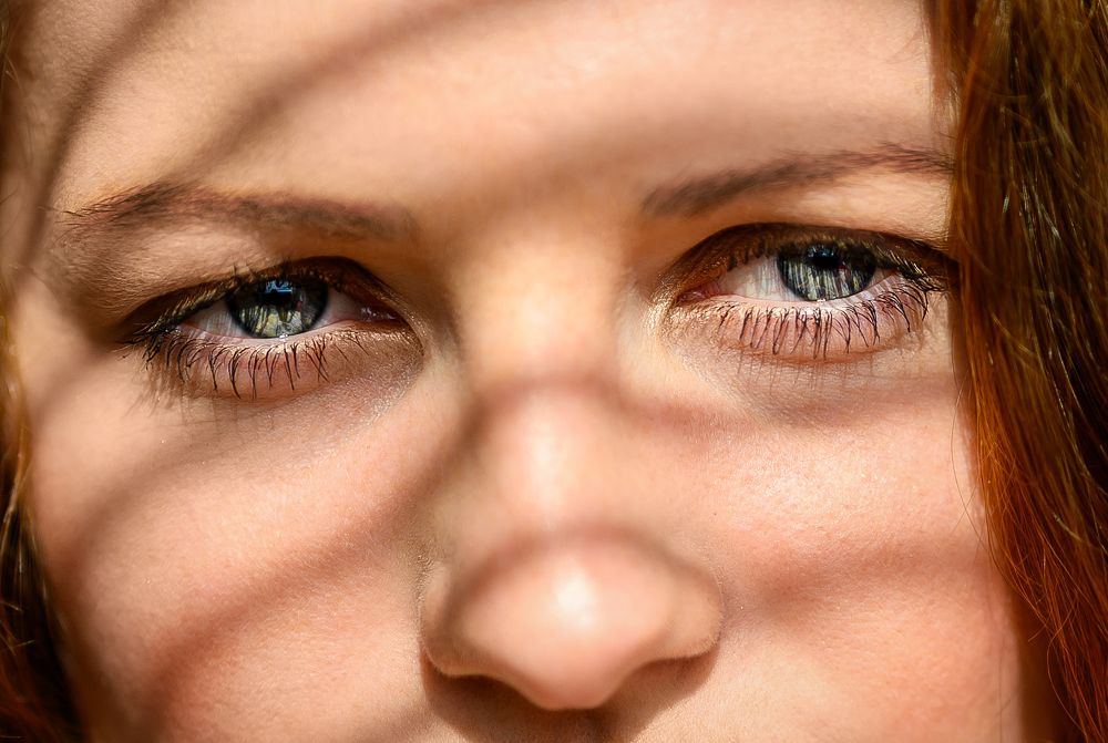 Фотография автора PavDan