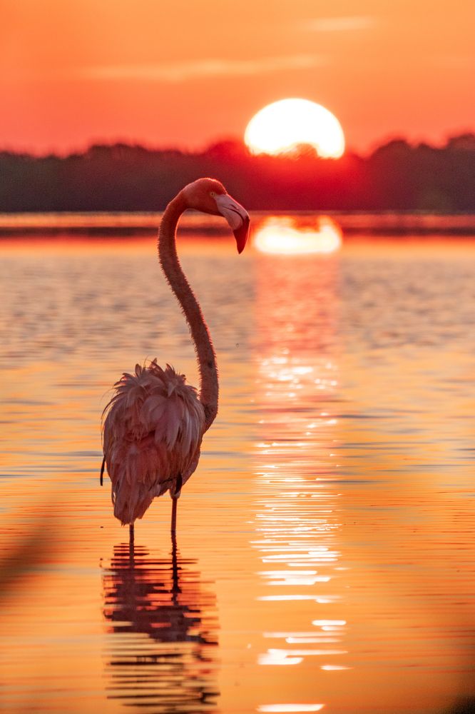 Photograph by Miguel Diaz