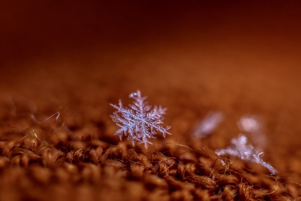 Photograph by Irina Chekanov