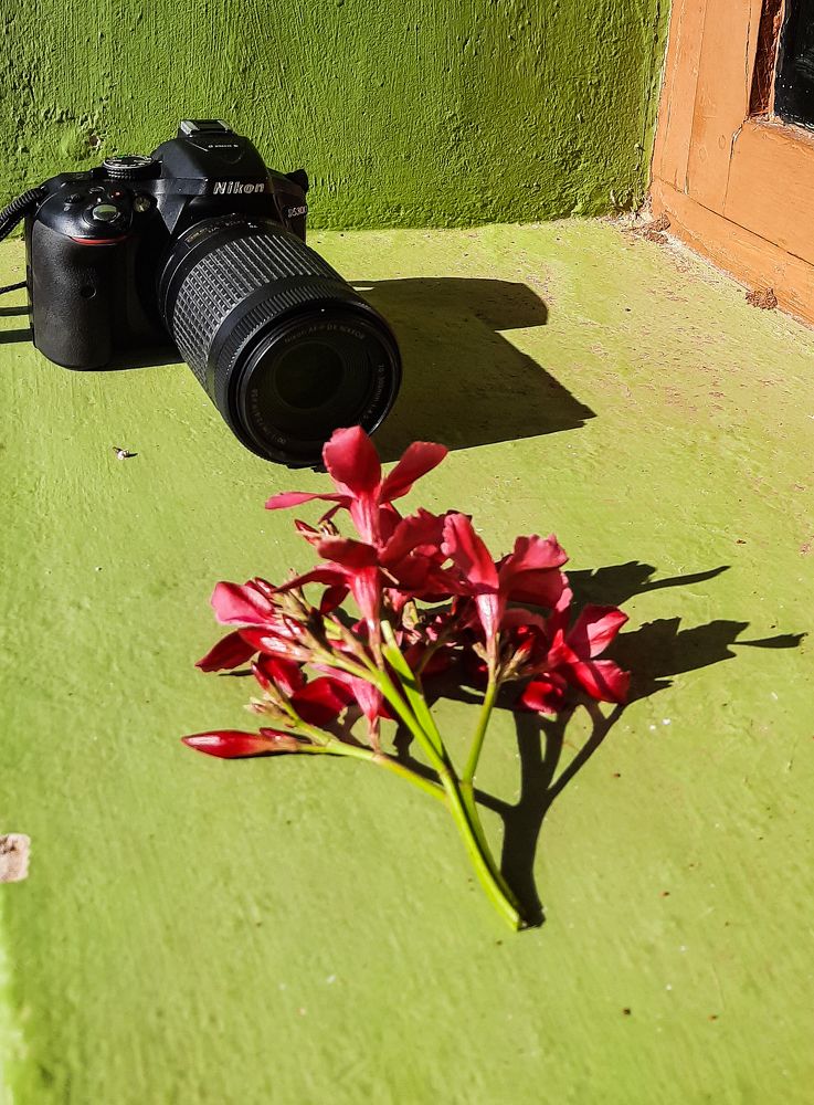 Photograph by PRABANJAN KARUPPUSAMY