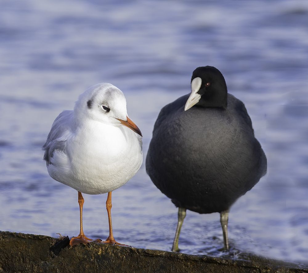 Photograph by Власов Егор