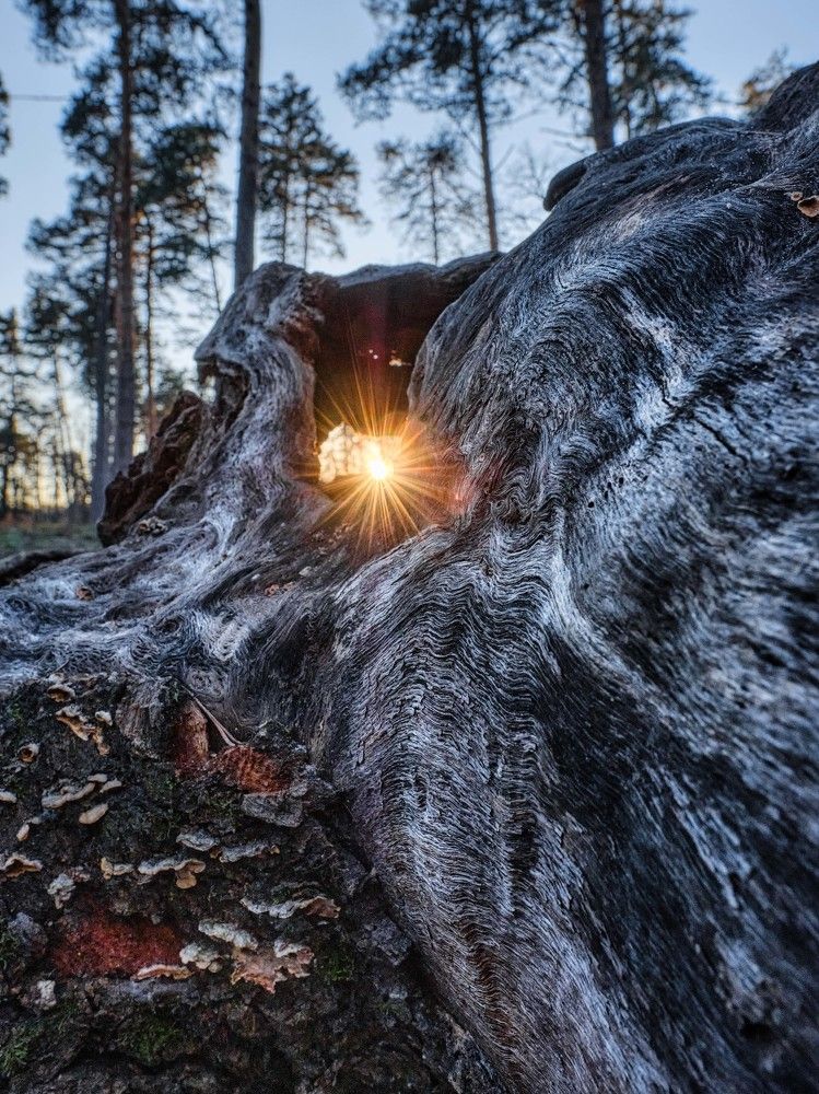 Photograph by Александр