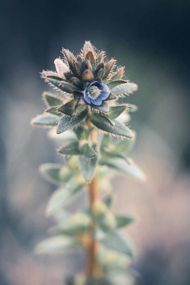 Photograph by Olga von Dahm