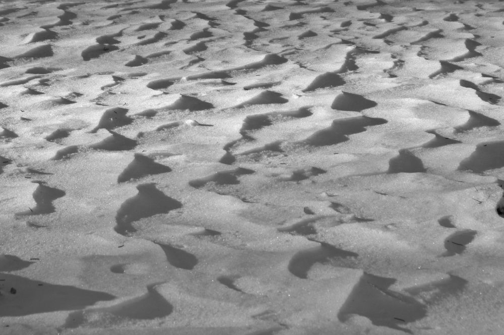 Photograph by Alba Zoe Gržin