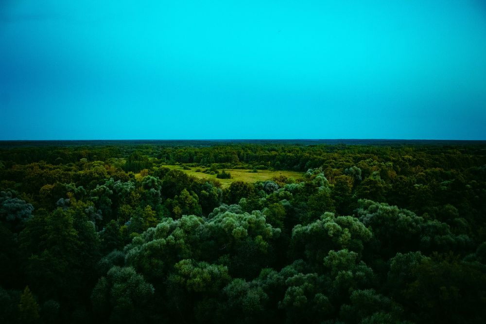 Photograph by Сергей Золотоверхий