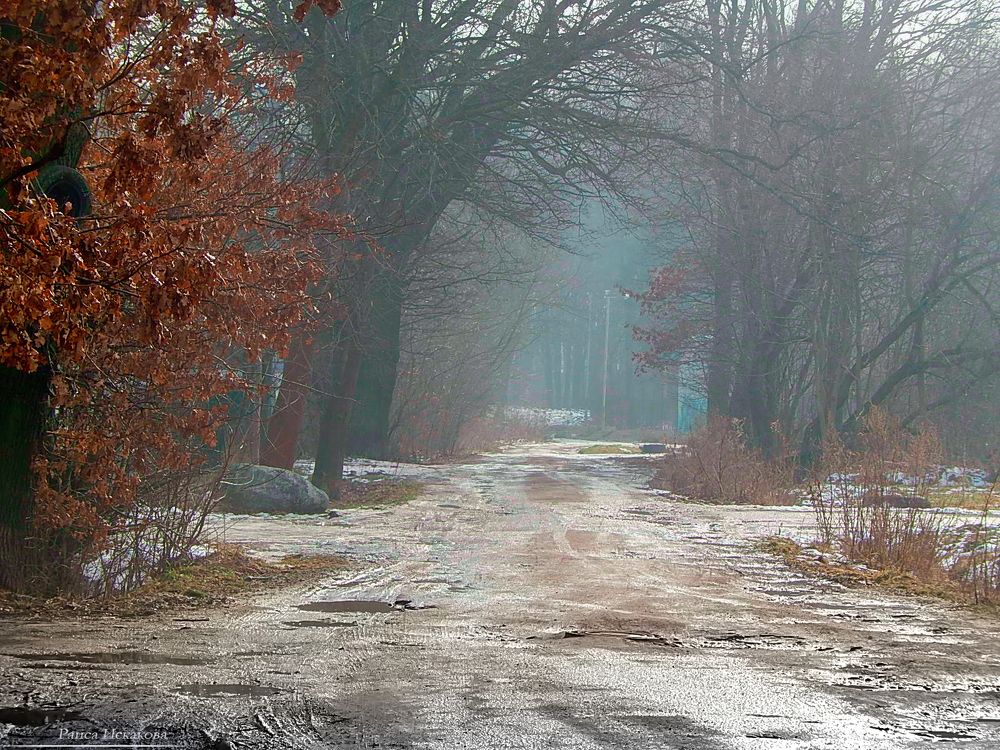 Photograph by Раиса Искакова