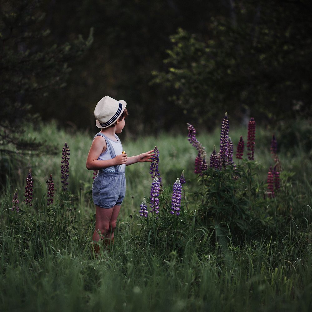 Фотография автора Анна Беляева