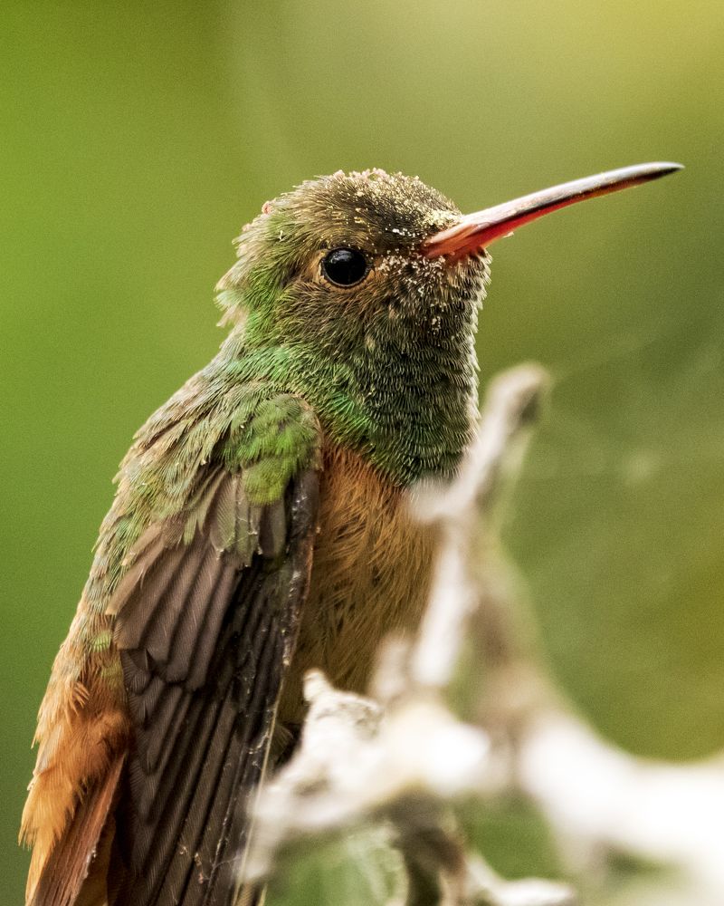 Photograph by Miguel Diaz