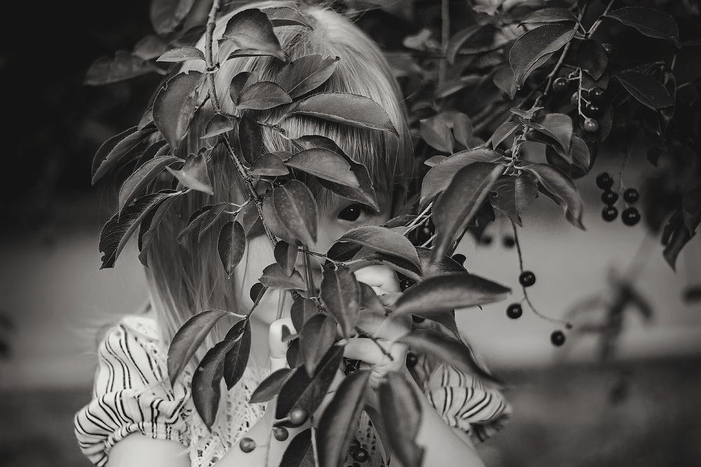 Photograph by Деева Елена