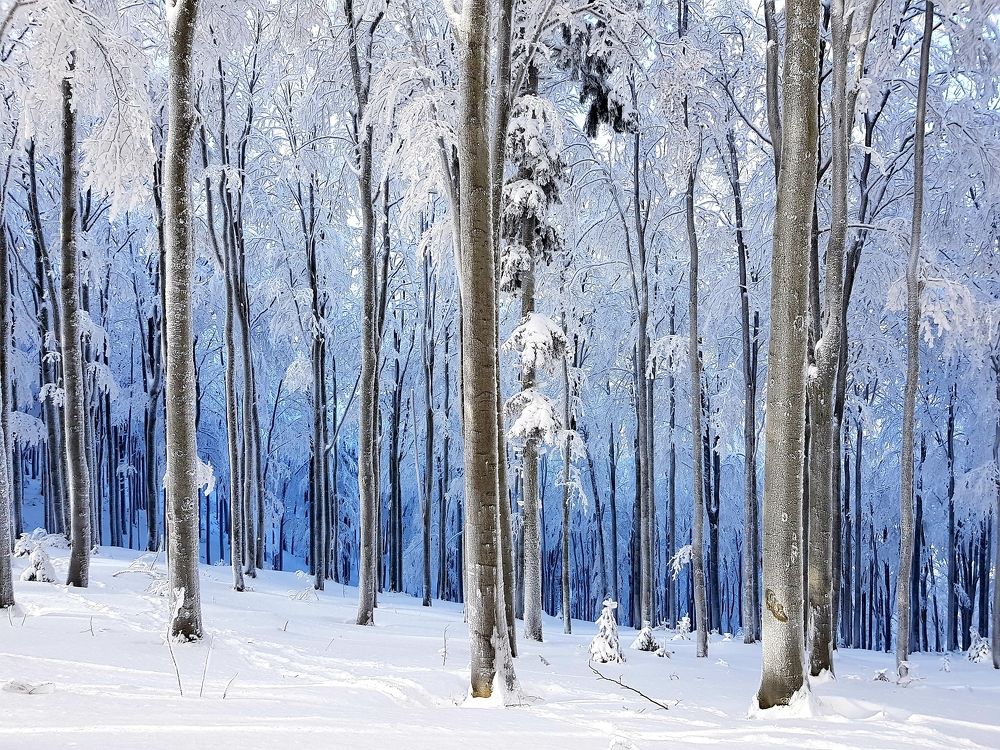 Photograph by Monika Biolik