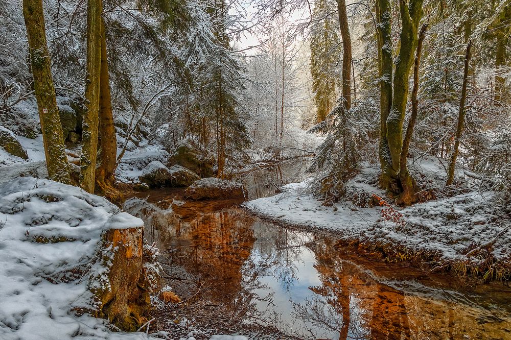 Photograph by Eugen Gorskih