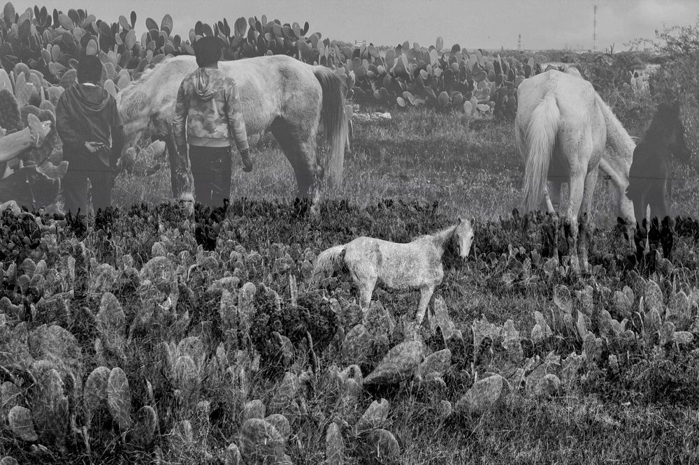 Photograph by Manel Balti