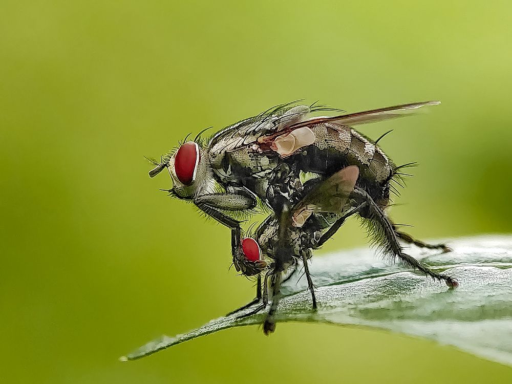 Photograph by Shankhadip Choudhury