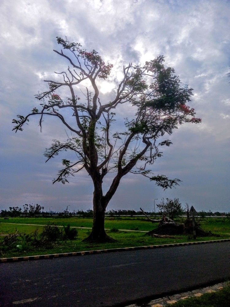 Photograph by anjan mukherjee