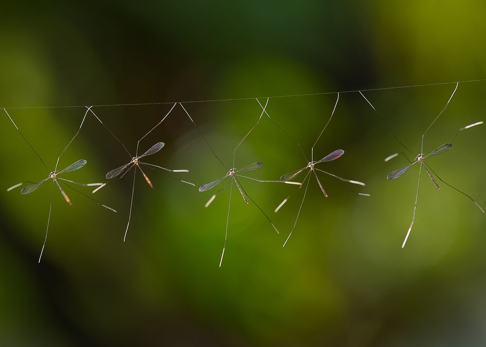 Photograph by Mridula S