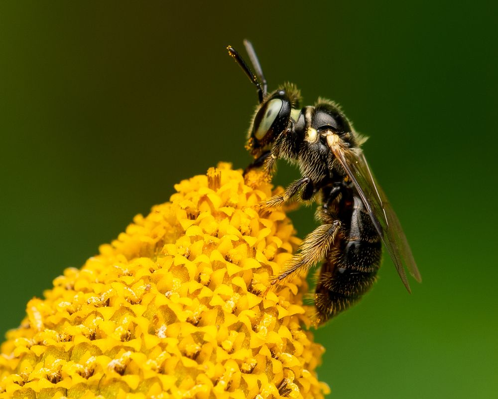 Photograph by Mridula S