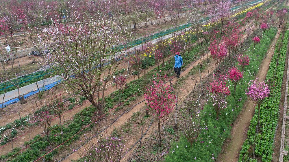 Photograph by Truong Van Tan