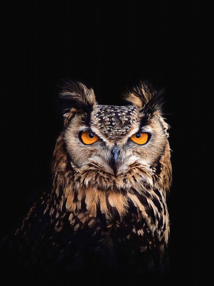 Photograph by Prasad Sonawane