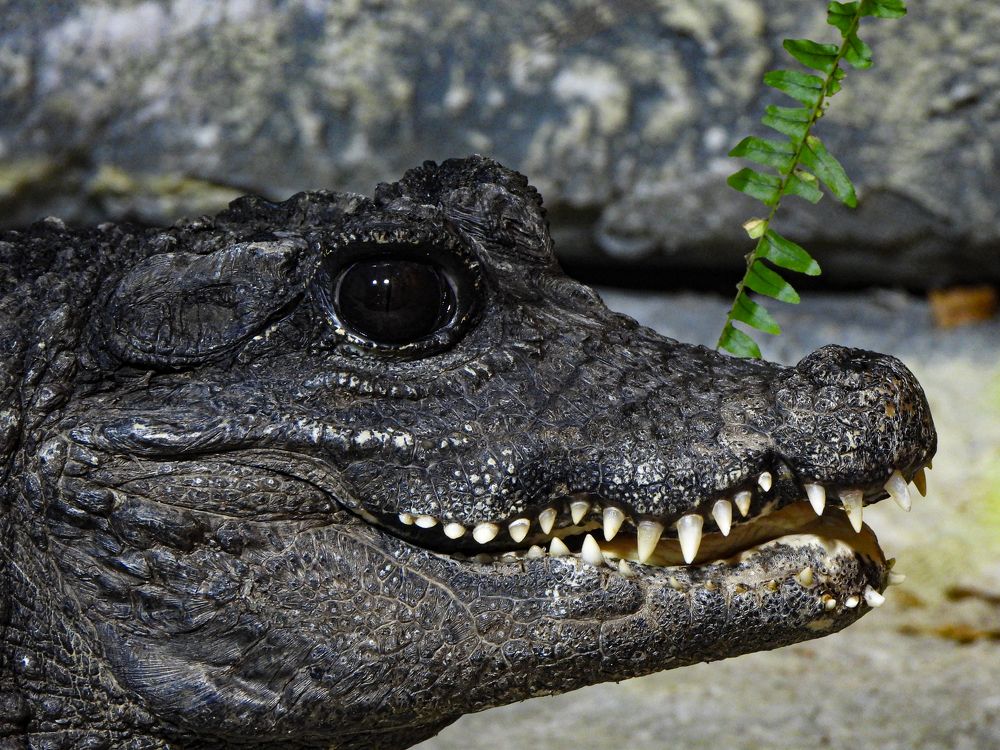 Photograph by Наталья Муравьёва