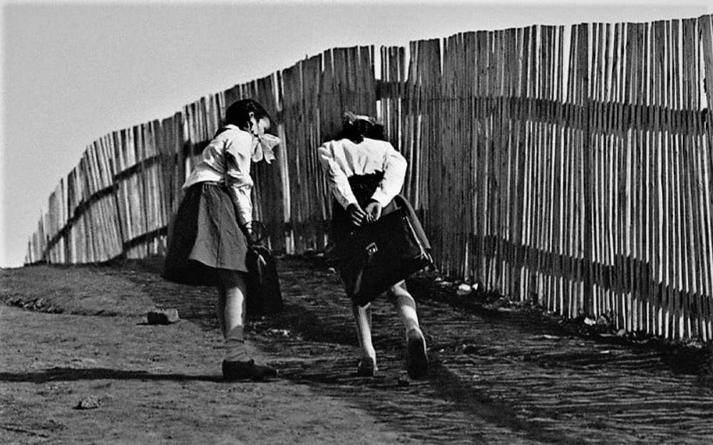 Photograph by Николай Цыплаков