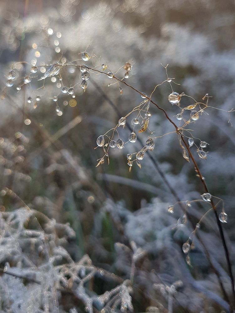 Photograph by Olga Weinberger