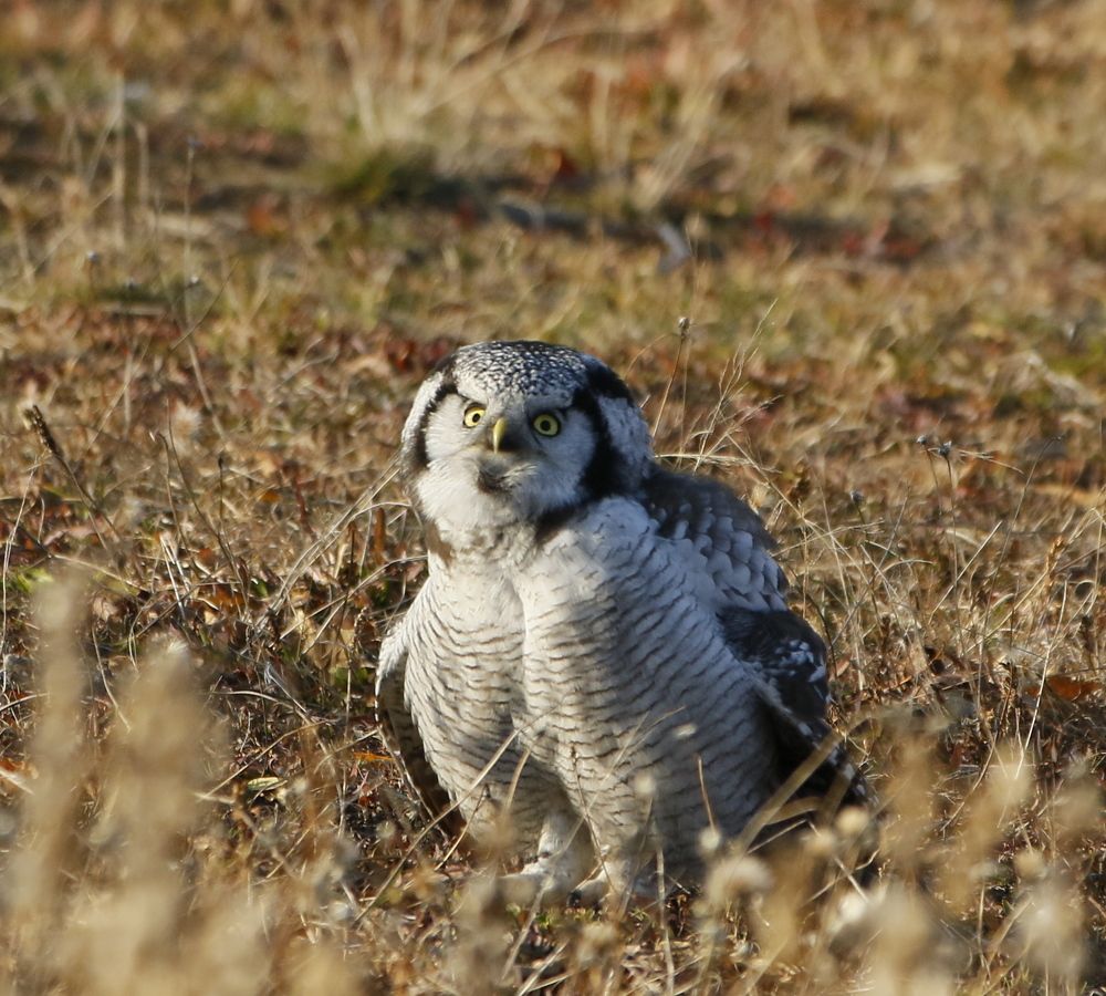 Photograph by Наталья Турчик