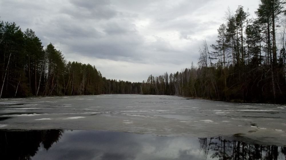 Photograph by София Корепанова