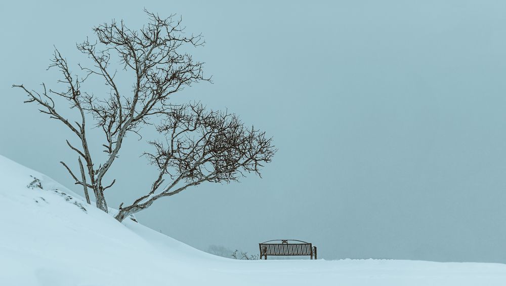 Photograph by Mariia Ivanova