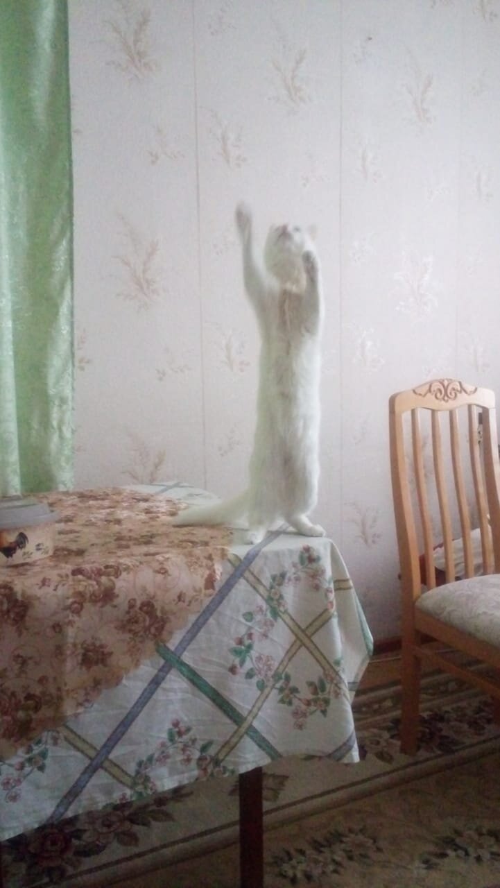 Photo #5951419