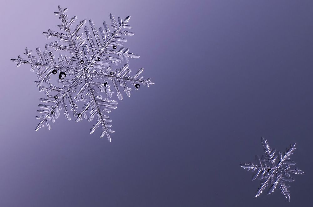 Photograph by андрей захаров