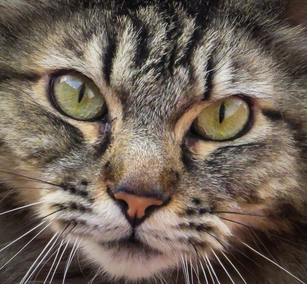 Photograph by Juan Carlos Molina Montes de Oca