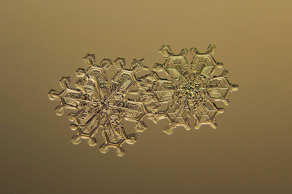 Photograph by андрей захаров